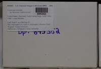 Image Associated With the Occurence